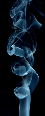 IMGP7955_1