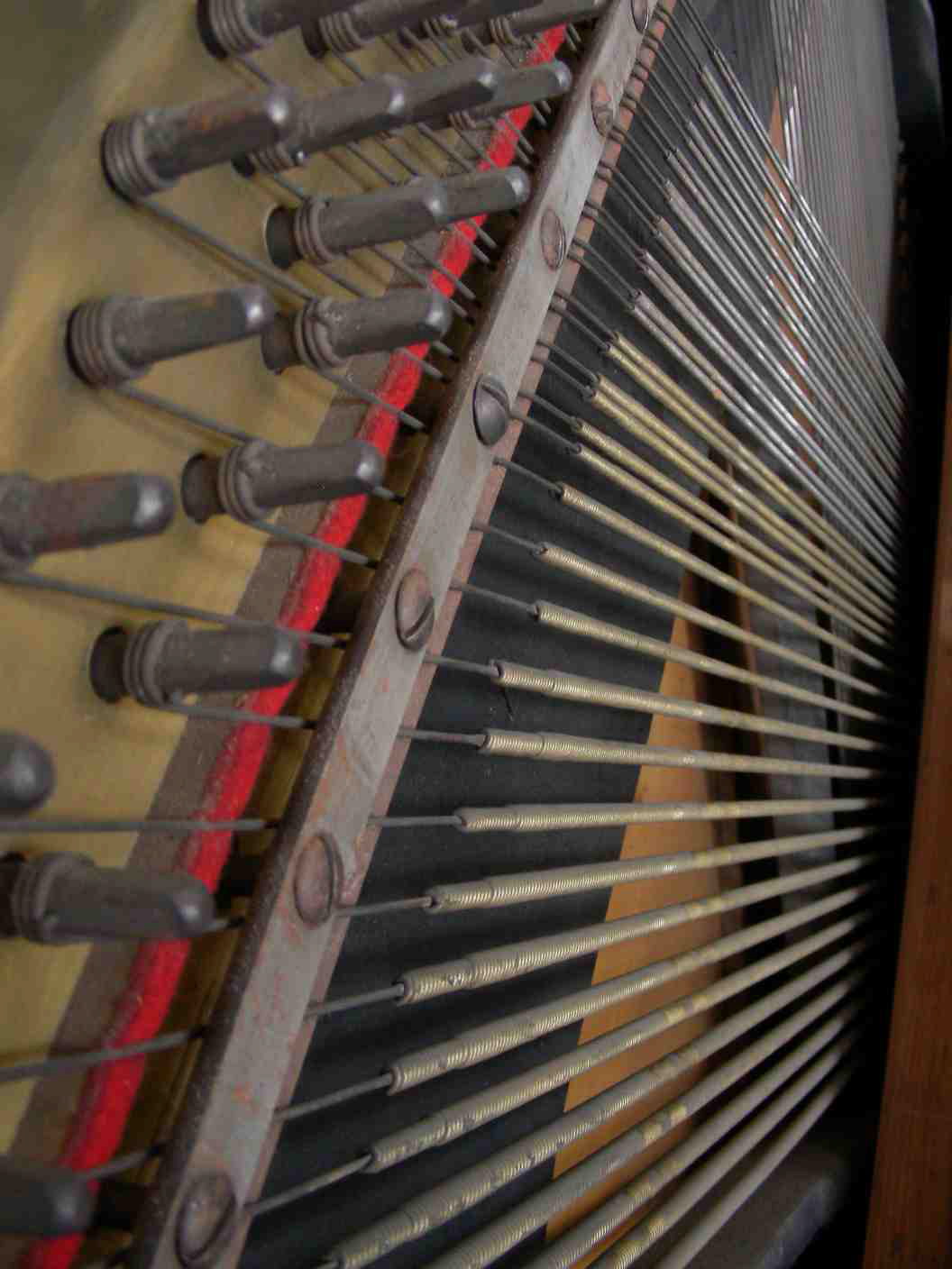DSCN0272