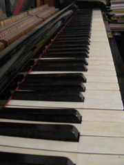 DSCN0277
